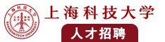 大鸡棒捅屄动漫